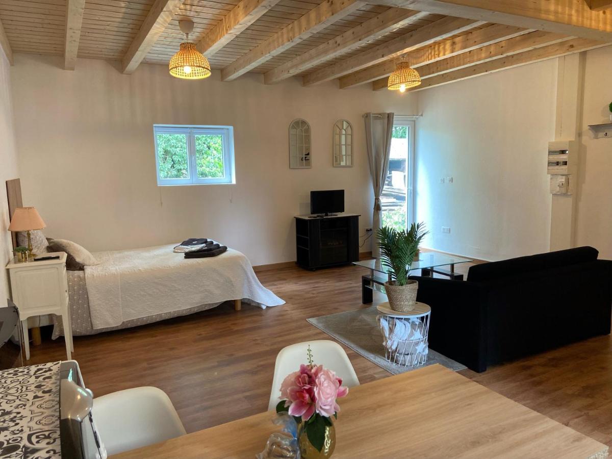 Le Chêne: Petit Cosy Proche De Mulhouse Appartement Riedisheim