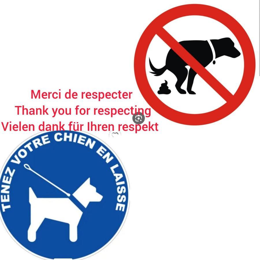 Le Chene: Petit Cosy Proche De Mulhouse * Riedisheim